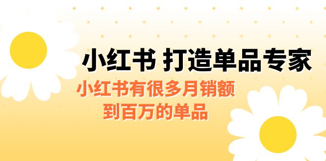 [小红书　]某公众号付费文章《小红书 打造单品专家》小红书有很多月销额到百万的单品