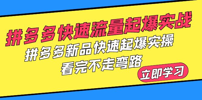 （6253期）拼多多-快速流量起爆实战，拼多多新品快速起爆实操，看完不走弯路